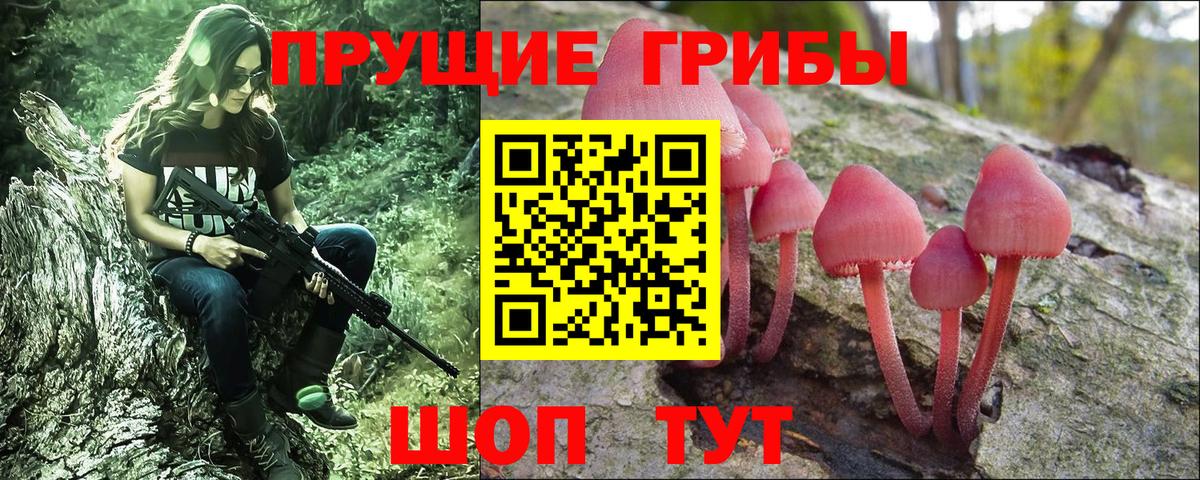 Нижнекамск  Галлюциногенные грибы мухоморы  Вход с VPN  Псилоцибиновые грибы Psilocybine cubensis 